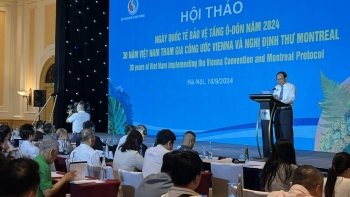 Việt Nam đạt được bước tiến mạnh mẽ trong công tác bảo vệ tầng ô-dôn