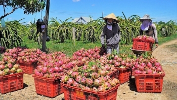 Vietnam-China trade turnover hits nearly 130.8 billion USD