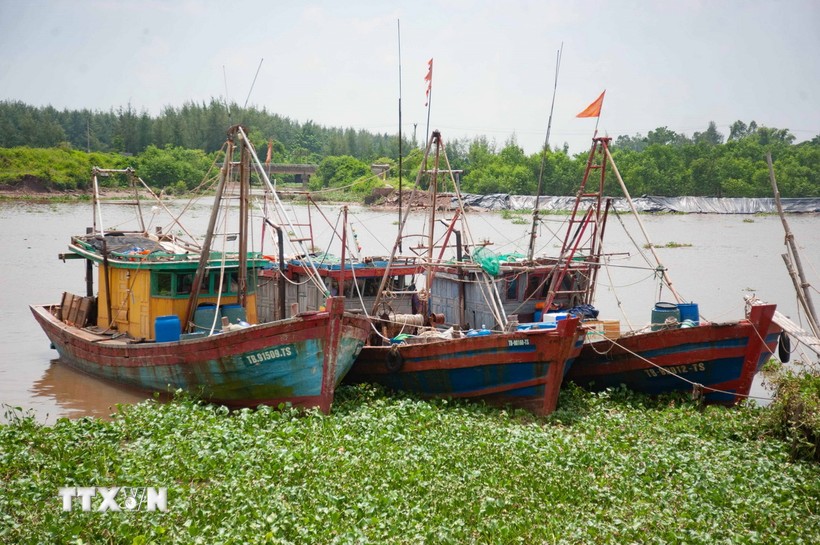 Thủ tướng: Chủ động ứng phó với áp thấp nhiệt đới có khả năng mạnh lên thành bão