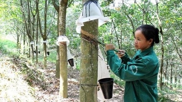 vietnams rubber exports reach 17 billion usd in eight months