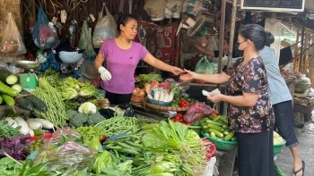 Vì sao giá rau xanh tại Hà Nội vẫn "đắt hơn cá, thịt"?