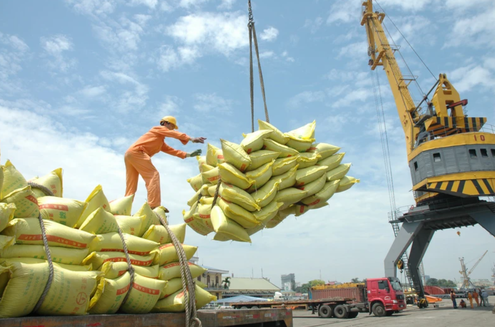 Ngày 26/9: Giá lúa gạo trong nước và gạo xuất khẩu của Việt Nam đồng loạt giảm