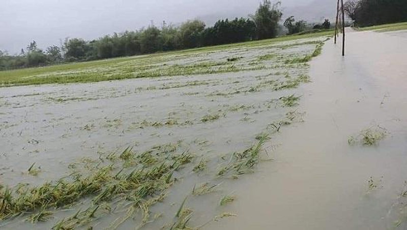 Ngành Nông nghiệp thiệt hại trên 30.800 tỷ đồng do bão số 3 và mưa lũ