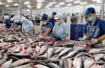 Xuất khẩu thuỷ sản đạt đỉnh trong quý III