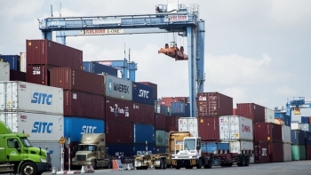 Budget revenue from import-export activities up 13.5%
