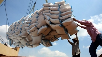 Vietnam's rice export turnover up 23.5% in nine months