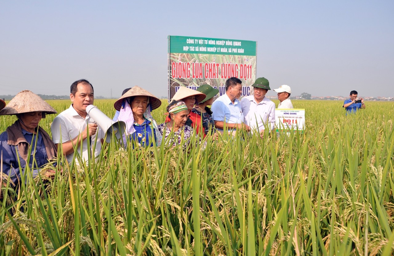 Bộ Tài chính hướng dẫn mới chế độ kế toán Hợp tác xã, liên hiệp hợp tác xã