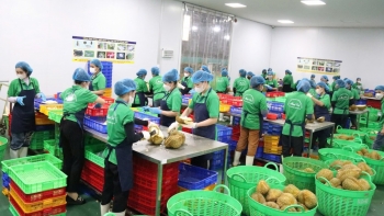 Nông sản xuất khẩu chủ lực tiếp tục lập kỳ tích về tăng trưởng
