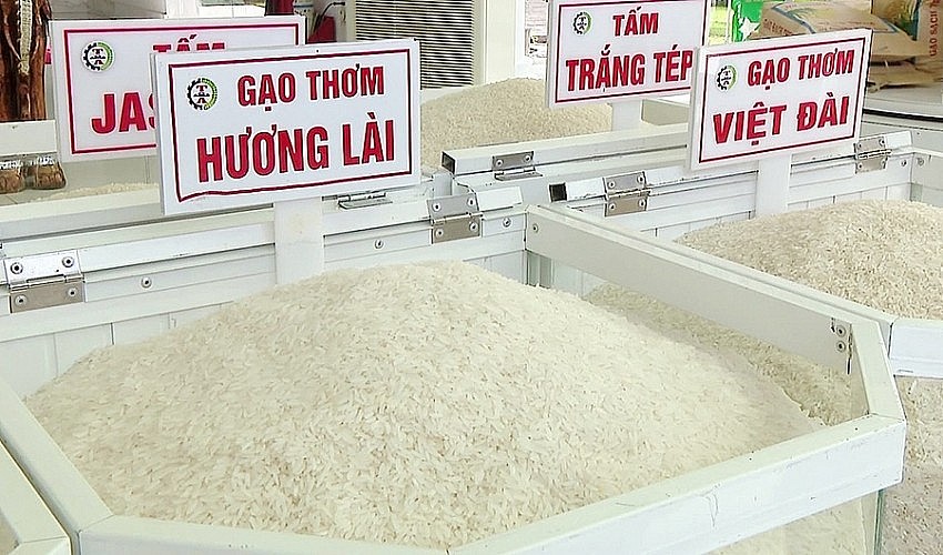 Ngày 22/10: Giá gạo trắng trong nước tăng, gạo xuất khẩu đang ở mức thấp