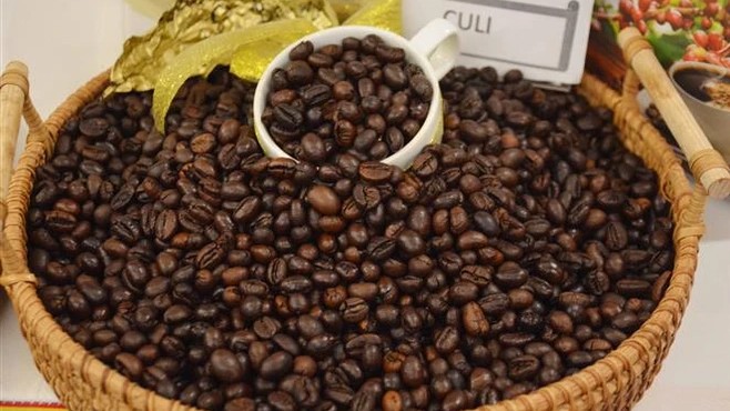 Vietnam’s coffee exports exceed 5 billion USD in 2023-2024 crop year