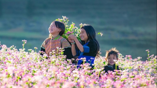 Cơ hội trải nghiệm nhiều hoạt động hấp dẫn tại Lễ hội hoa tam giác mạch năm 2024