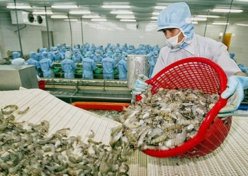 Hoa Kỳ: Áp thuế chống trợ cấp tôm nước ấm đông lạnh Việt Nam là 2,84%, 221,82%