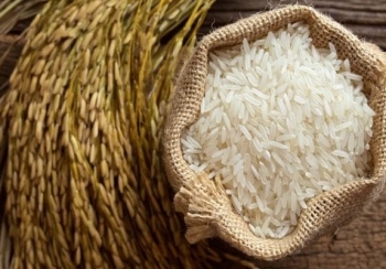 Không có chuyện gạo Việt bị tạm giữ tại Thuỵ Điển do nghi ngờ gian lận chất lượng