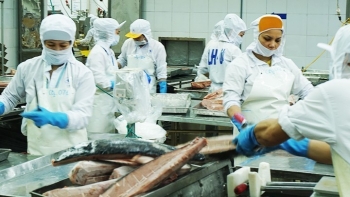 Much room remains for Vietnam to utilise CPTPP