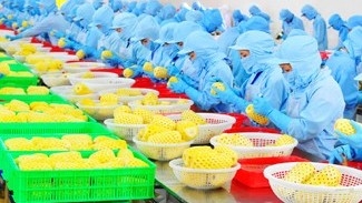 Kết hợp chế biến với quảng bá thương hiệu để nâng cao chuỗi giá trị nông sản xuất khẩu