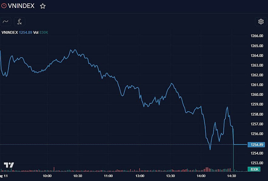 Chứng khoán hôm nay (1/11): Giao dịch ảm đạm trong phiên ETF nội cơ cấu, VN-Index giảm gần 10 điểm