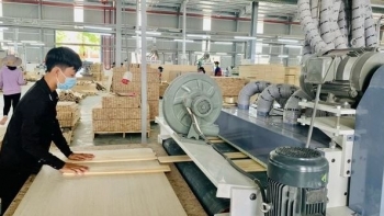 Binh Duong bolsters export to major markets