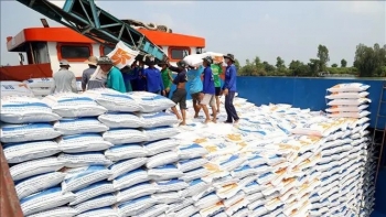 Vietnam posts trade surplus of 23.31 bln USD in 10 months