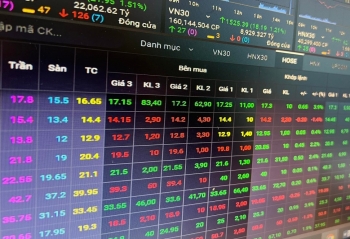 Cổ phiếu VNI bị đưa vào diện cảnh báo và tiếp tục bị đình chỉ giao dịch