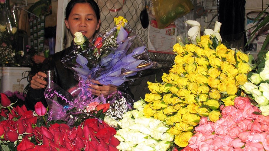 Hoa hồng Đà Lạt tăng giá từng ngày sát lễ 20/11