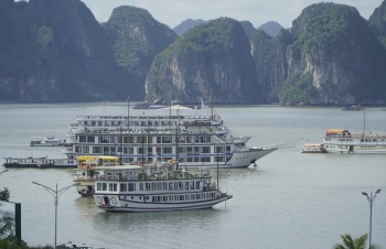 Quảng Ninh sẽ duy trì hơn 500 tàu du lịch trên vịnh Hạ Long từ nay đến năm 2025