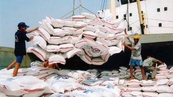 Vietnam to set new record in rice exports in 2024