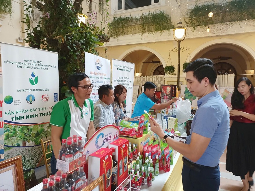 Ninh Thuận: Phát triển kinh tế tư nhân trở thành động lực quan trọng của nền kinh tế
