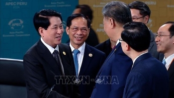 Chủ tịch nước Lương Cường gặp lãnh đạo các nền kinh tế nhân dịp dự Hội nghị Cấp cao APEC