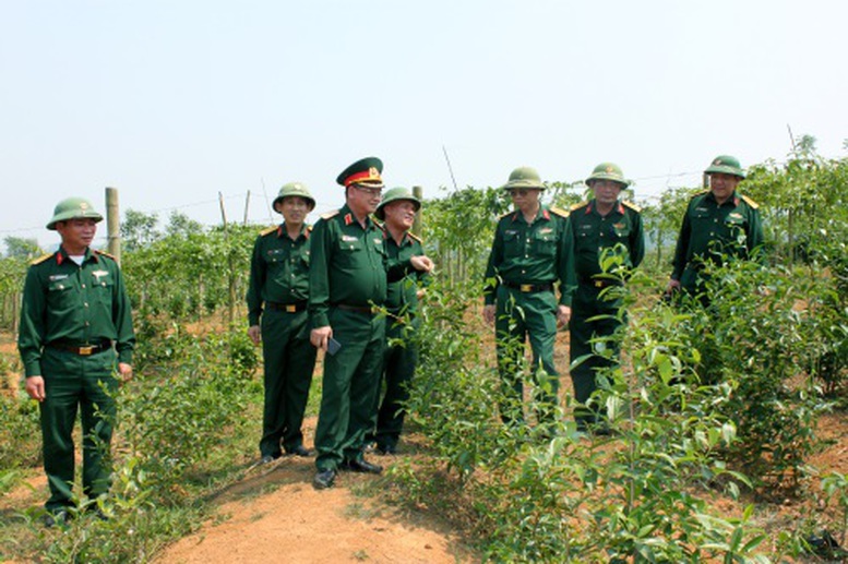 Hướng dẫn hỗ trợ tài chính đối với Đoàn kinh tế