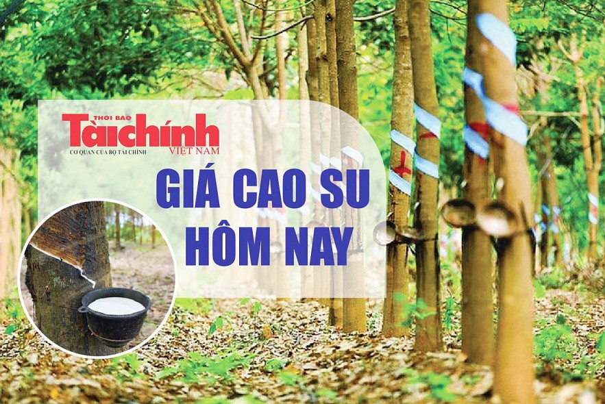 Ngày 3/12: Giá cao su trên các sàn giao dịch biến động trái chiều