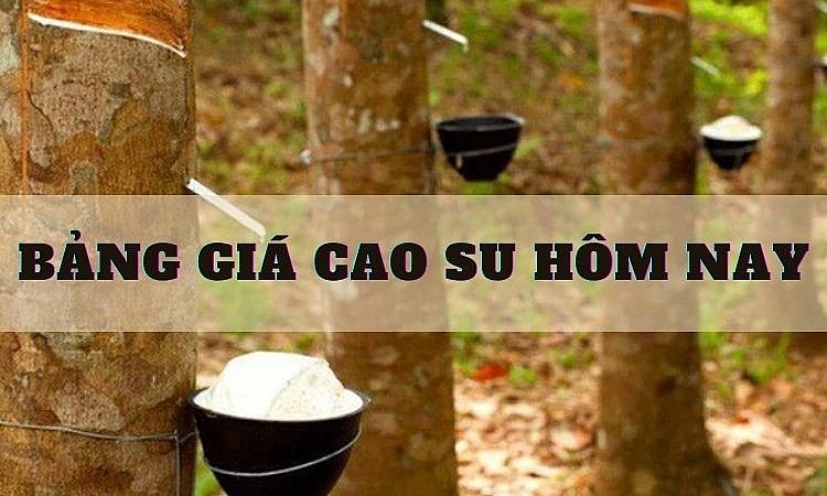 Ngày 8/12: Giá cao su thế giới đảo chiều giảm, trong nước đứng yên