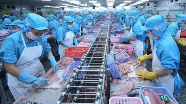 Vietnam's seafood export hits 1 billion USD mark for October