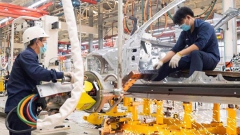 Industrial production expands 8.4 percent in January-November