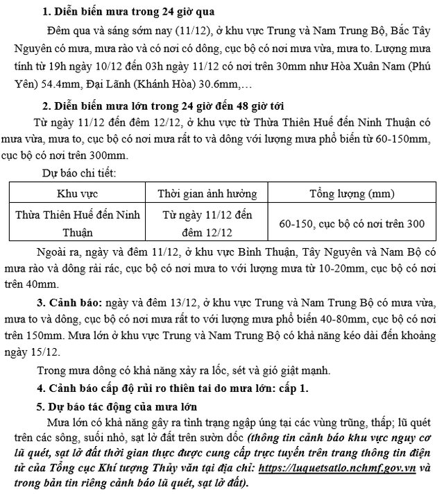 CÔNG ĐIỆN CHỈ ĐẠO ỨNG PHÓ MƯA LỚN Ở TRUNG BỘ- Ảnh 1.