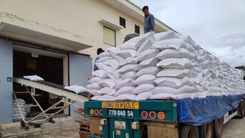 Cục Dự trữ Nhà nước khu vực Nghĩa Bình xuất cấp kịp thời hàng dự trữ quốc gia