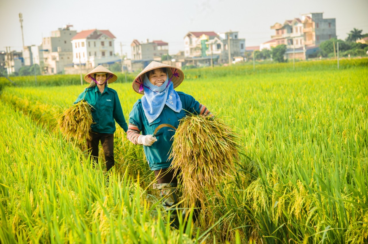 Năm 2024 là một năm bứt phá của nông nghiệp Việt Nam