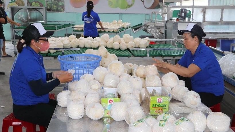 Agro-forestry-fisheries exports top 62 billion USD in 2024