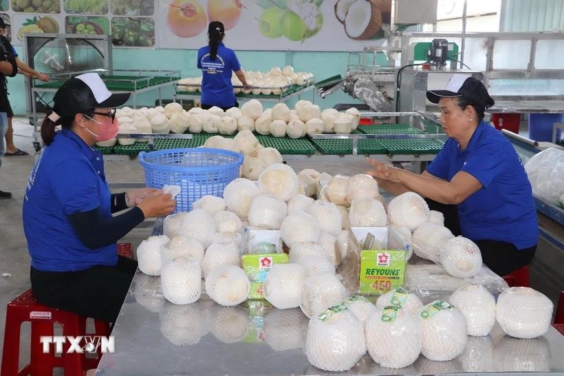Agro-forestry-fisheries exports top 62 billion USD in 2024
