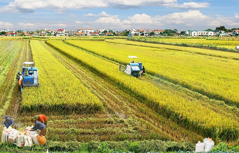 Đề xuất kéo dài miễn thuế sử dụng đất nông nghiệp đến hết ngày 31/12/2030