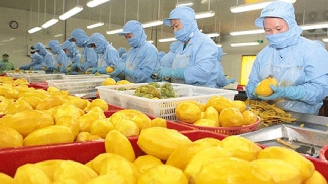 Xuất khẩu nông lâm thủy sản năm 2025 có tiềm năng nhưng thận trọng