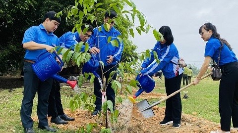 Bộ Nông nghiệp và Phát triển nông thôn ra Chỉ thị về Tết Trồng cây Xuân Ất Tỵ