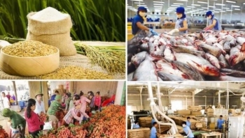 Agricultural, forestry, and fishery trade surplus hits record of nearly 18 billion USD