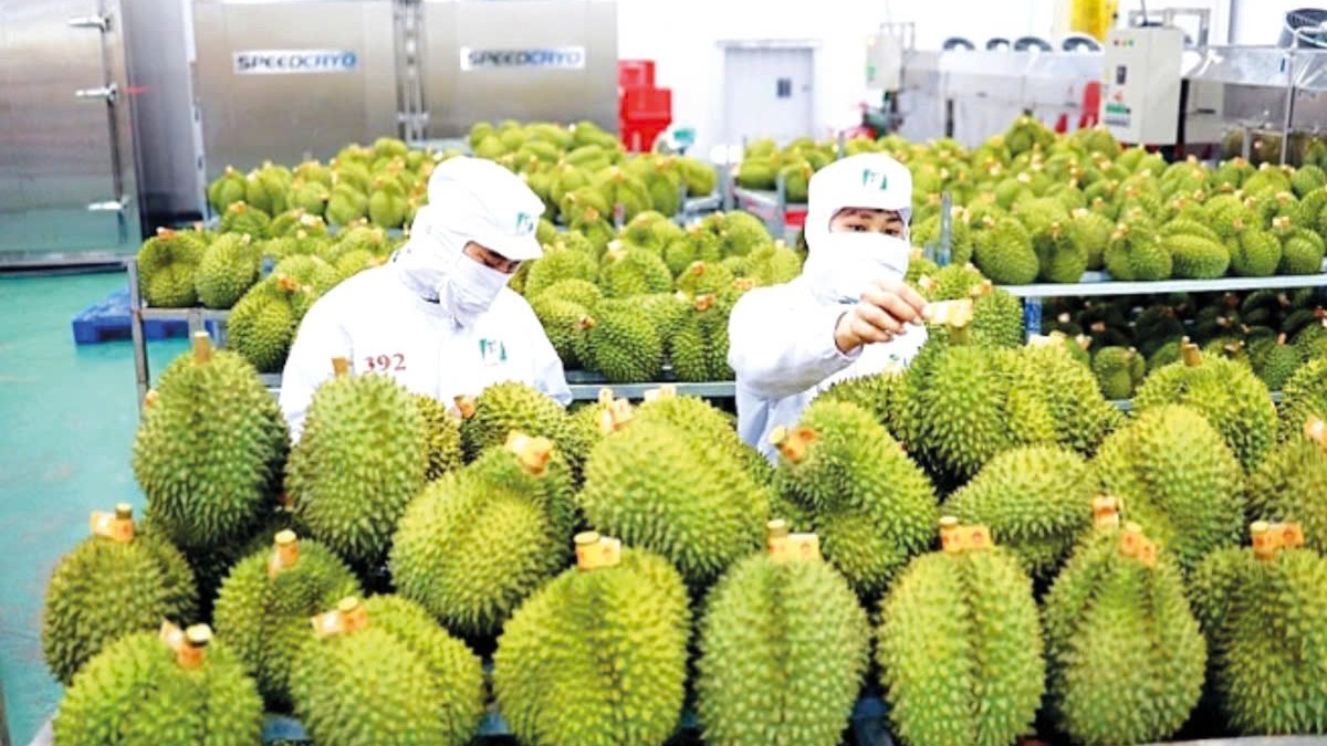 Nông nghiệp lập kỷ lục mới về xuất khẩu nông, lâm, thủy sản