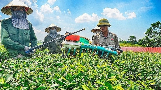 Bộ Tài chính ban hành cơ chế quản lý tài chính Quỹ Hỗ trợ nông dân