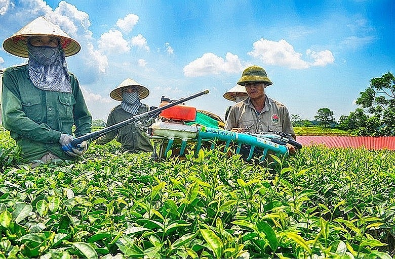 Bộ Tài chính ban hành cơ chế quản lý tài chính Quỹ Hỗ trợ nông dân