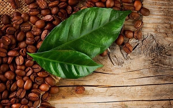 Ngày 6/1: Giá cà phê trong nước neo cao, hồ tiêu ở mức 150.000 đồng/kg