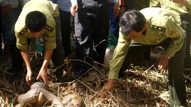 Thực thi pháp luật, tuyên truyền công tác bảo tồn đa dạng sinh học và bảo vệ các loài hoang dã