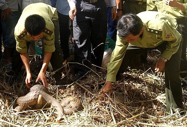 Thực thi pháp luật, tuyên truyền công tác bảo tồn đa dạng sinh học và bảo vệ các loài hoang dã