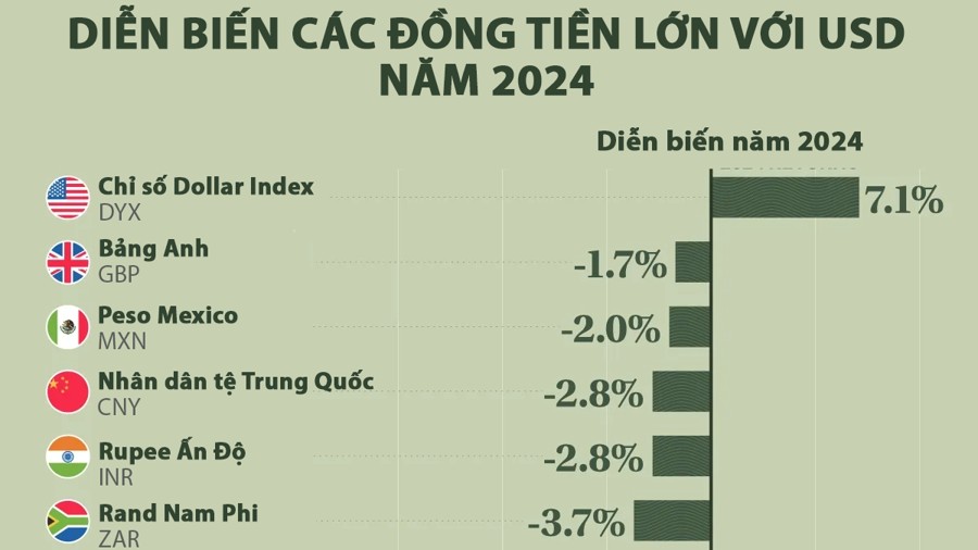 Biến động tỷ giá các đồng tiền lớn so với USD năm 2024