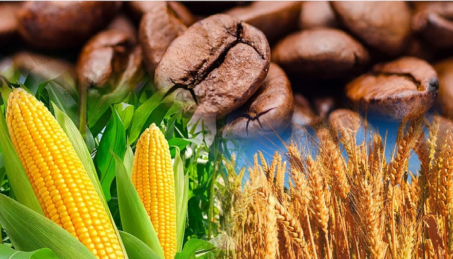 Thị trường hàng hóa: Giá nguyên liệu nhóm nông sản dẫn đà suy yếu